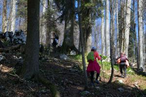 Po medvedovih stopinjah 2